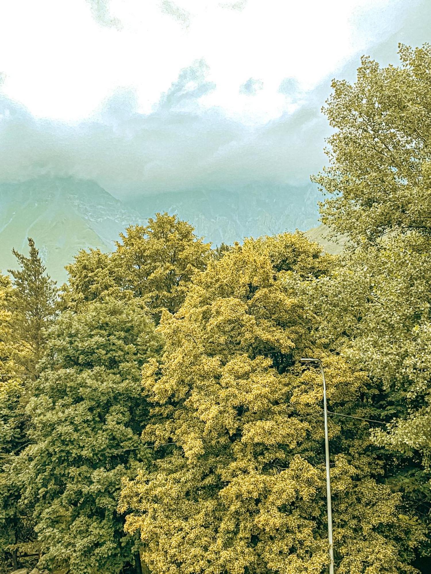 Hotel Gold Kazbegi Eksteriør billede